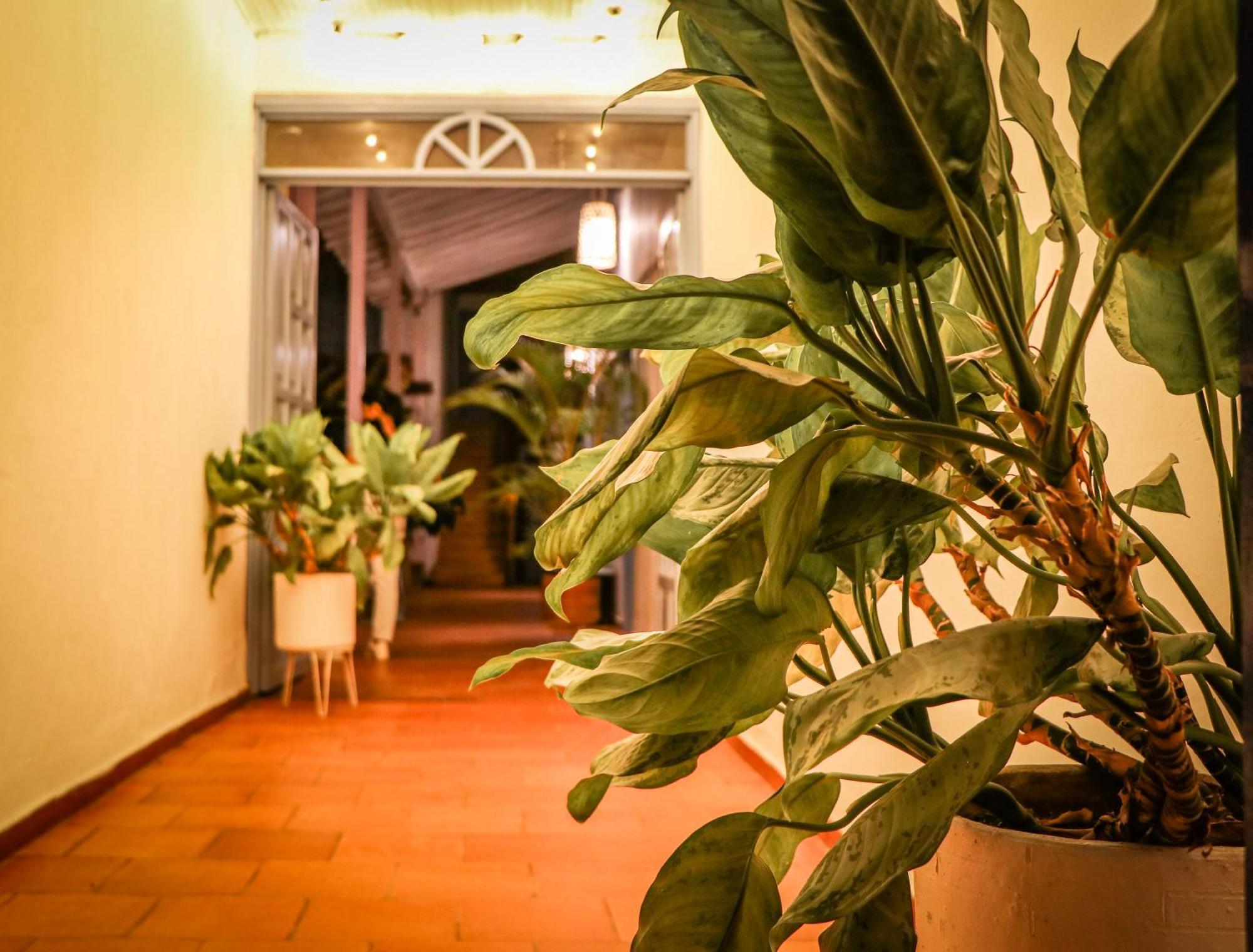 Aura Hotel Parque Barichara By Infinity Exteriör bild